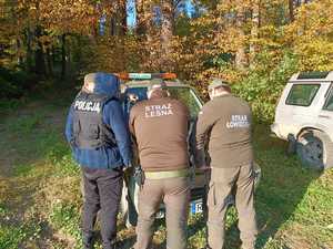 funkcjonariusze Policji, Straży Leśnej i Straży łowieckiej podczas wspólnych działań w terenie. Na zdjęciu  widocznych 4 funkcjonariuszy. Stoja przy samochodzie. Są odwróceni plecami i dokonują analizy map.