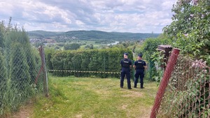 policjanci podczas patrolu na ogródkach działkowych