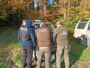 policjant i funkcjonariusze straży leśnej stoją przy pojeździe służbowym straży leśnie na terenie lasu.  Na pokrywie silnika umieszczona dokumentacją która przeglądają.